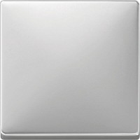 Клавіша для 1-кнопкового вимикача Merten System Design. Колір Сталь MTN412146 