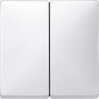 Двойная клавиша выключателя Merten System Design. Цвет Полярно-белый (MTN412519)