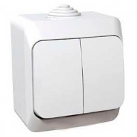 Двухклавишный наружный выключатель 16A Cedar Plus. Белый. WDE000550