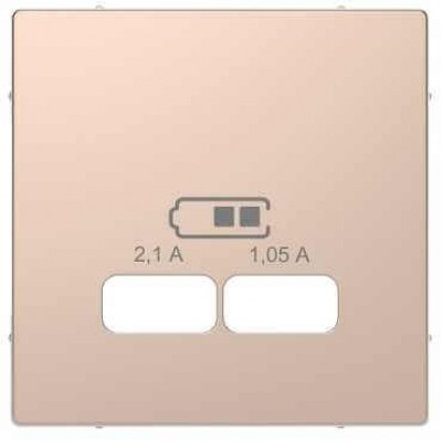 Лицьова панель для USB-розетки Merten D-Life. Колір Шампань
